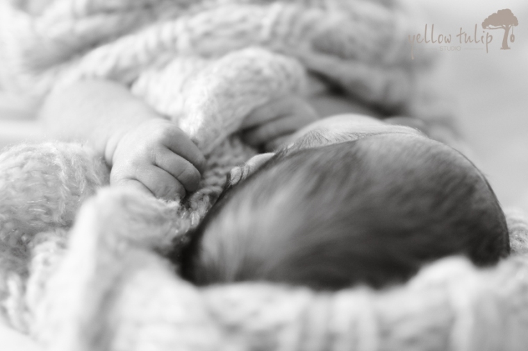 Newborn lifestyle photography