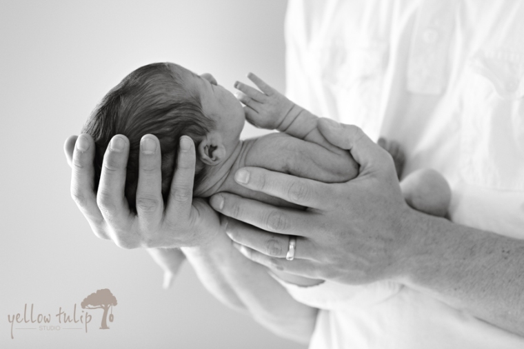 Fathers Hands holding newborn